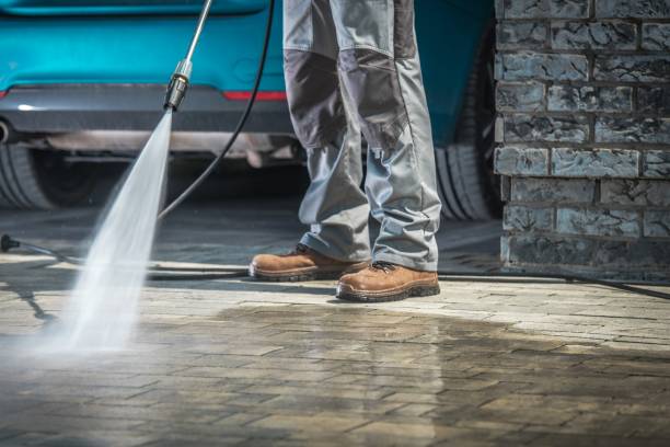 Best Roof Washing  in Hayden, CO