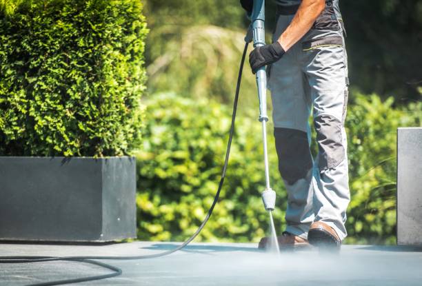 Best Fence Cleaning  in Hayden, CO